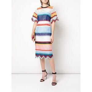Carolina Herrera Color-Blocked Guipure Striped Lace Eyelet Knee Length Dress